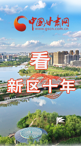 圖解|崛起！新區(qū)十年