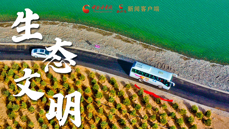 彈幕海報丨熱議甘肅省委十三屆十六次全會 網(wǎng)民聲音在回響！