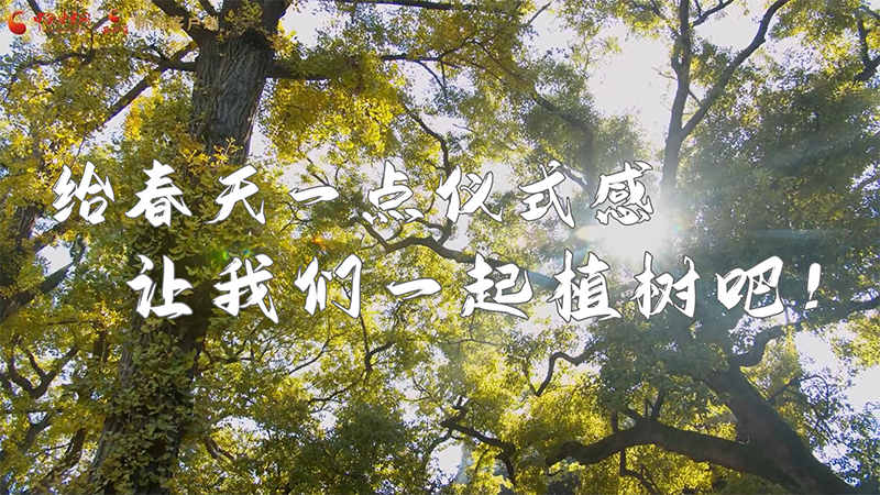 短視頻|給春天一點(diǎn)儀式感，讓我們一起植樹吧！