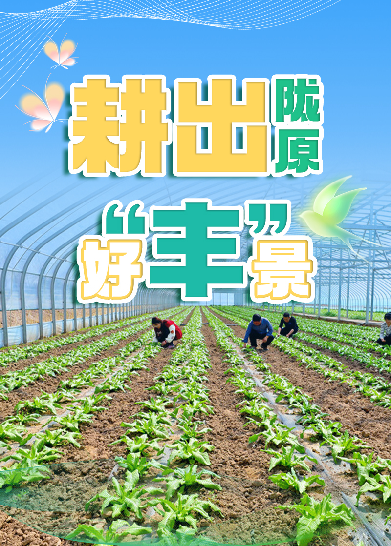 【專(zhuān)題】 耕出隴原好 “豐” 景 