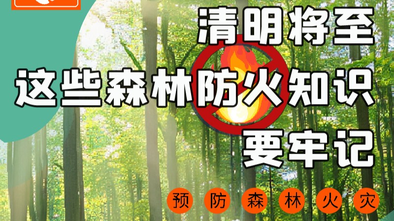 【甘快看】圖解|緊繃“安全弦”！清明，這些森林防火知識要牢記