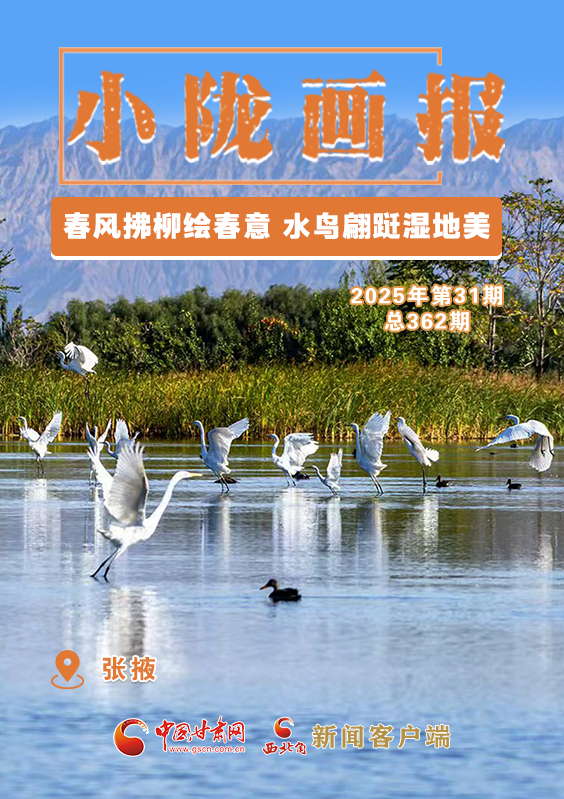 【小隴畫(huà)報(bào)·362期】張掖：春風(fēng)拂柳繪春意 水鳥(niǎo)翩躚濕地美
