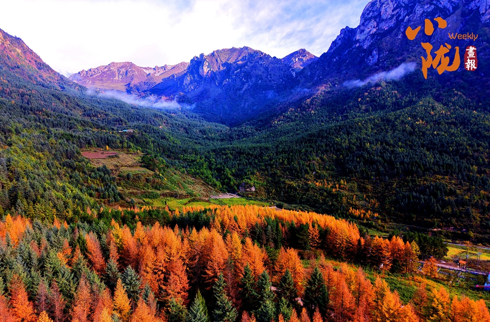 【小隴畫(huà)報(bào)·439期】舟曲：絢麗賽爾布 斑斕滿眼秋