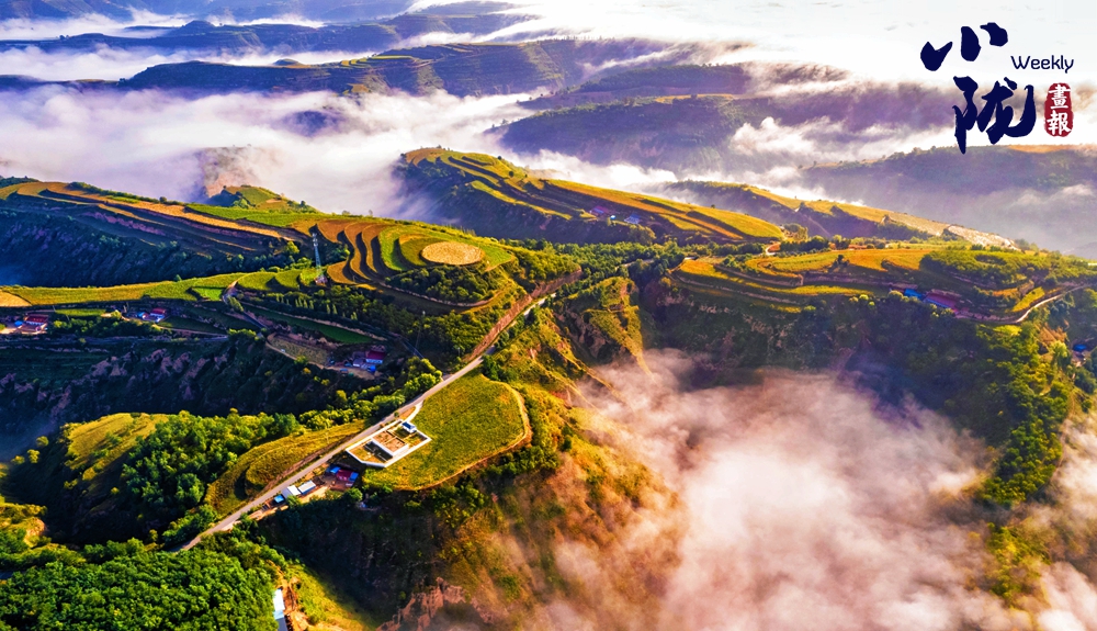 【小隴畫(huà)報(bào)·440期】冬日華池黃土塬 色彩斑斕景如畫(huà)