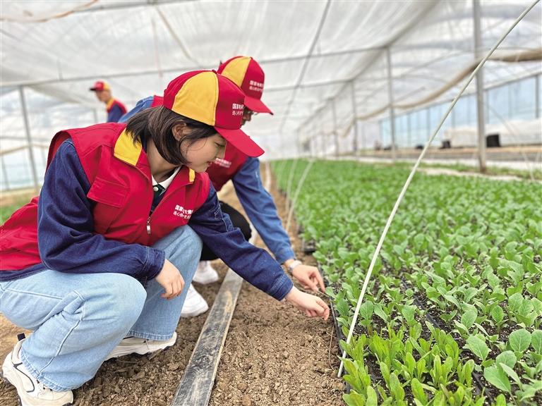 電網(wǎng)升級強基礎(chǔ) 精準幫扶興產(chǎn)業(yè)