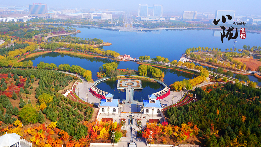 【優(yōu)化營商環(huán)境三年行動】金昌“23條”+“服務(wù)卡” 打造暖心營商新生態(tài)